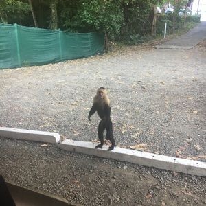 Meet your Posher, Anne